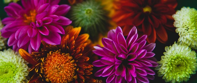 顶尖球员在 顶尖球员在