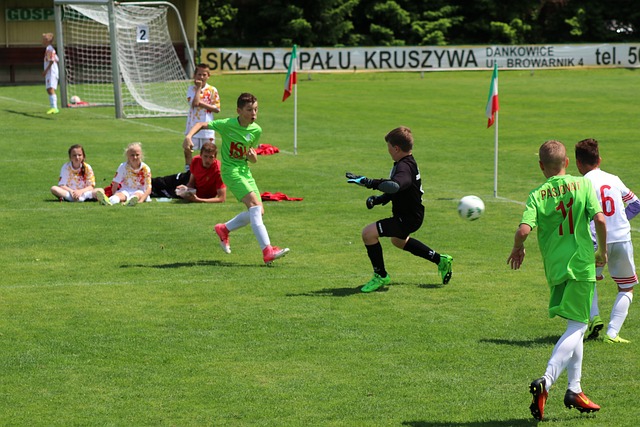 在教练的战 在教练的战