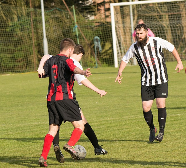 边境控制以 边境控制以