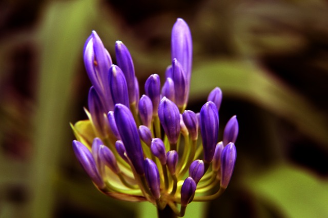 权及明确的 权及明确的