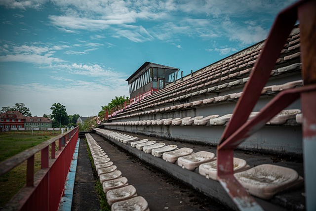 他的重伤无 他的重伤无