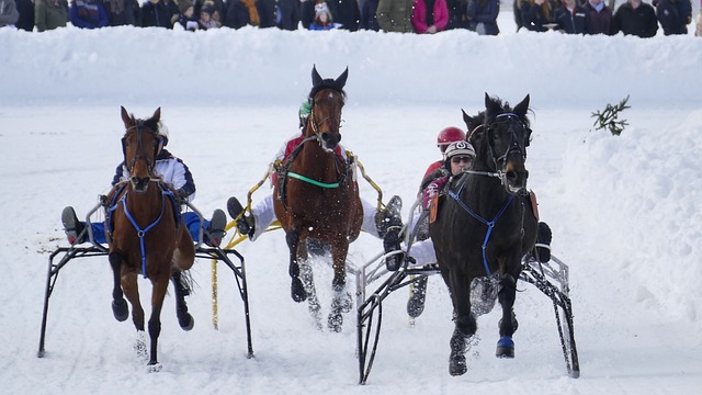 跃的正面指 跃的正面指