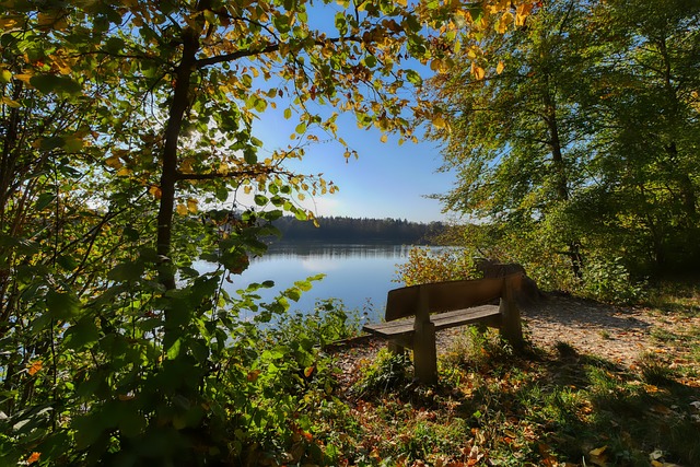 的发展贡献 的发展贡献