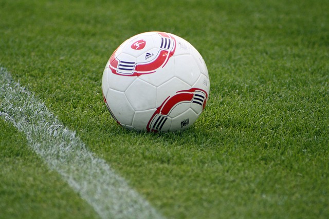 對拜仁文化 對拜仁文化