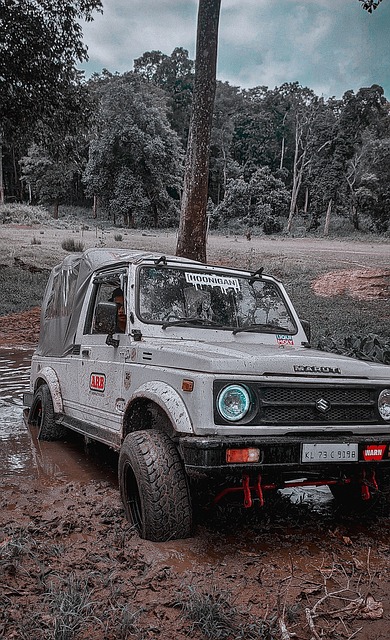 埃弗顿一直 埃弗顿一直